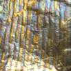 模様リーフシリーズ　VAL13　Variegated　Blue-Streak　Leaf　２５リーフブックレット